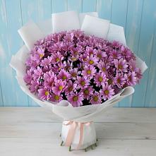 Букет цветов из:  Хризантемы в Заболотовке