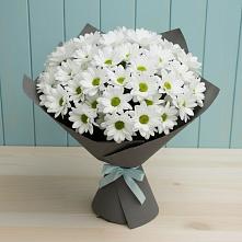 Букет цветов из:  Хризантемы в Заболотовке