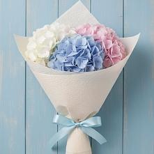Букет цветов из:  Гортензия #REPLACE_PRED# Заболотовке