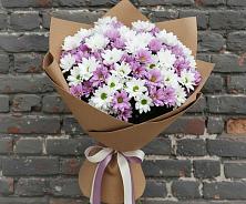 Букет цветов из:  Хризантемы #REPLACE_PRED# Заболотовке