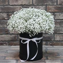 Цветочная композиция из Гипсофила в шляпной коробке в Заболотовке
