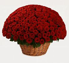 Премиум букет из: Розы #REPLACE_PRED# Заболотовке